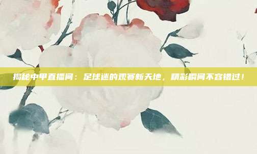 揭秘中甲直播间:足球迷的观赛新天地,精彩瞬间不容错过!