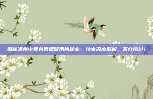 揭秘漳州电视台直播背后的秘密:独家深度解析,不容错过!