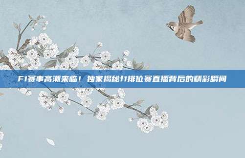 F1赛事高潮来临！独家揭秘f1排位赛直播背后的精彩瞬间