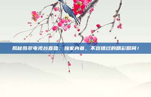 揭秘翡翠电视台直播：独家内幕，不容错过的精彩瞬间！