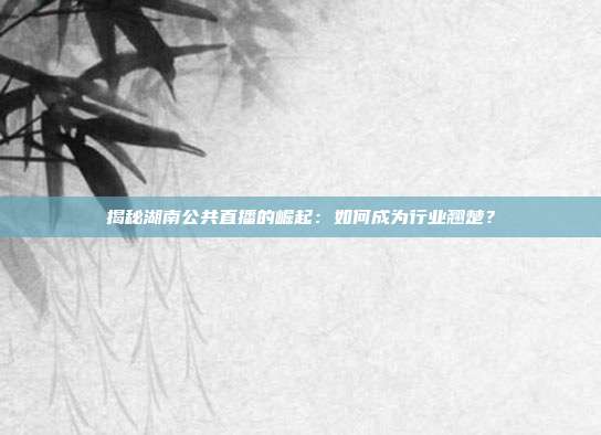 揭秘湖南公共直播的崛起:如何成为行业翘楚?