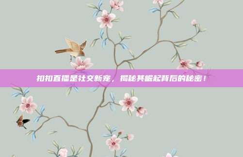 扣扣直播是社交新宠，揭秘其崛起背后的秘密！