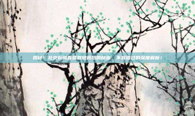 揭秘!北京新闻直播回放背后的秘密,不容错过的深度解析!