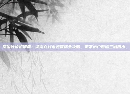 摆脱传统机顶盒！湖南在线电视直播全攻略，足不出户看遍三湘四水。