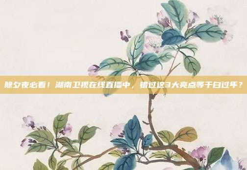 除夕夜必看！湖南卫视在线直播中，错过这3大亮点等于白过年？