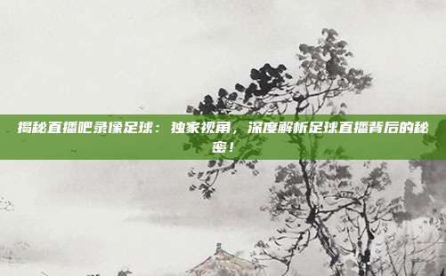 揭秘直播吧录像足球:独家视角,深度解析足球直播背后的秘密!