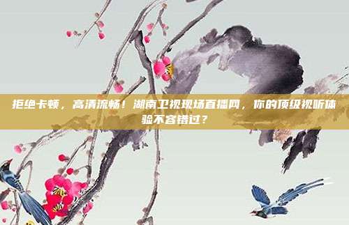 拒绝卡顿，高清流畅！湖南卫视现场直播网，你的顶级视听体验不容错过？