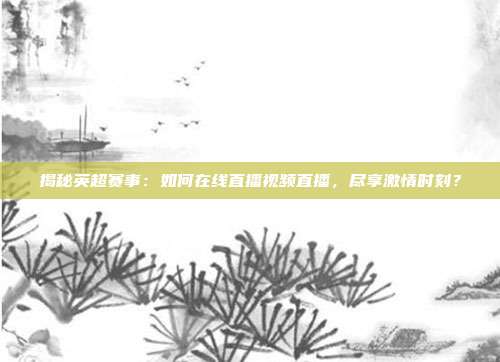 揭秘英超赛事：如何在线直播视频直播，尽享激情时刻？