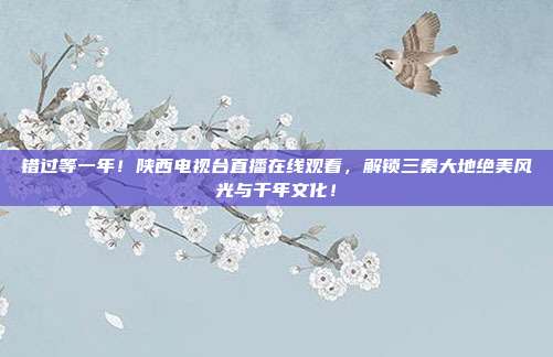 错过等一年！陕西电视台直播在线观看，解锁三秦大地绝美风光与千年文化！