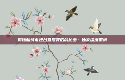 揭秘盐城电视台直播背后的秘密:独家深度解析