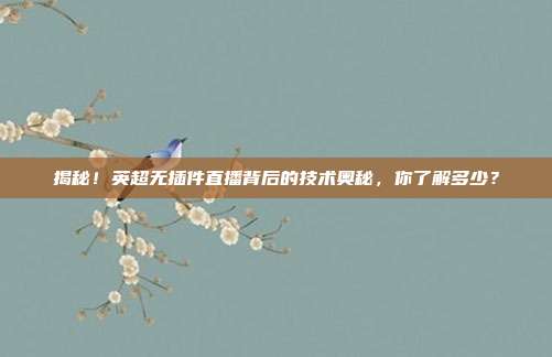 揭秘！英超无插件直播背后的技术奥秘，你了解多少？