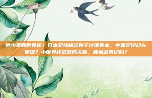 世少赛即世界杯！日本足球崛起始于这项赛事，中国足球却在倒退？小世界杯成破局关键，能拯救青训吗？