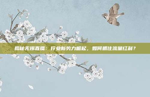 揭秘无锡直播：行业新势力崛起，如何抓住流量红利？