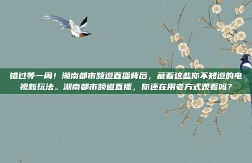 错过等一周！湖南都市频道直播背后，藏着这些你不知道的电视新玩法。湖南都市频道直播，你还在用老方式观看吗？