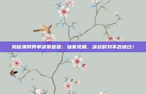揭秘澳网男单决赛直播：独家视角，决战时刻不容错过！