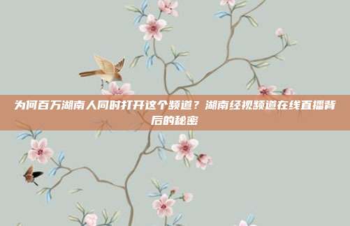 为何百万湖南人同时打开这个频道？湖南经视频道在线直播背后的秘密