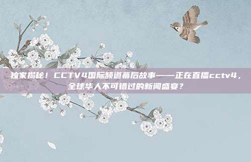 独家揭秘！CCTV4国际频道幕后故事——正在直播cctv4，全球华人不可错过的新闻盛宴？