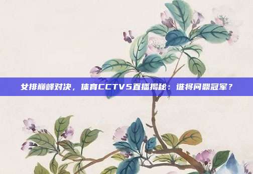 女排巅峰对决，体育CCTV5直播揭秘：谁将问鼎冠军？