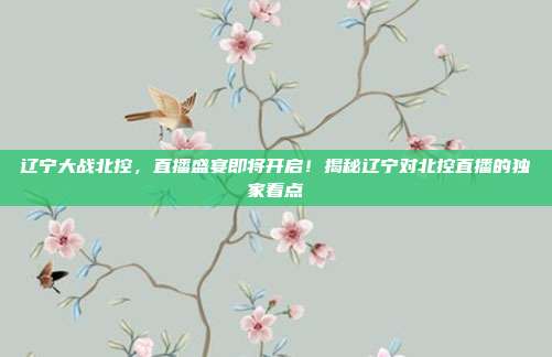 辽宁大战北控,直播盛宴即将开启!揭秘辽宁对北控直播的独家看点