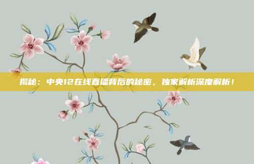 揭秘：中央12在线直播背后的秘密，独家解析深度解析！