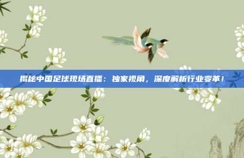 揭秘中国足球现场直播：独家视角，深度解析行业变革！