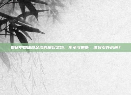 揭秘中国体育足球的崛起之路：传承与创新，谁将引领未来？