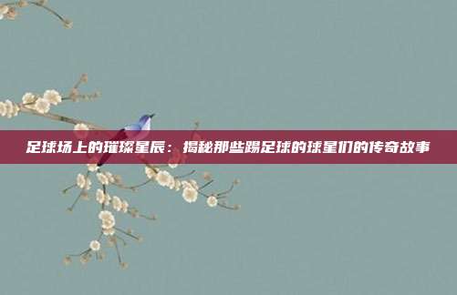 足球场上的璀璨星辰:揭秘那些踢足球的球星们的传奇故事
