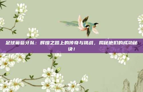 足球葡萄牙队：辉煌之路上的传奇与挑战，揭秘他们的成功秘诀！