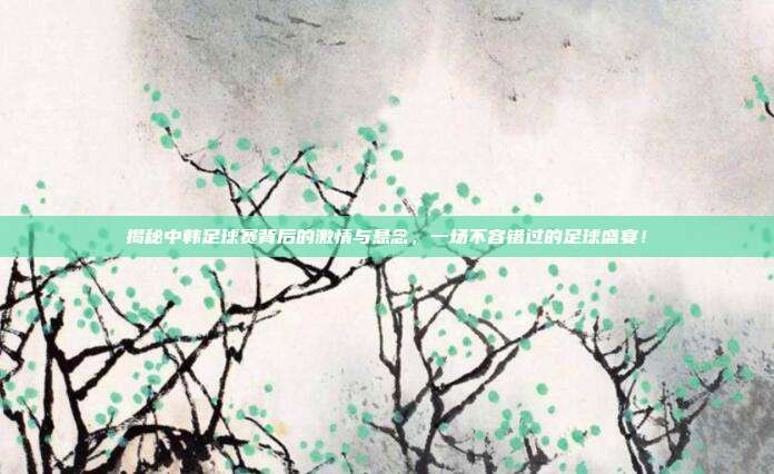 揭秘中韩足球赛背后的激情与悬念,一场不容错过的足球盛宴!
