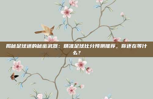 揭秘足球迷的秘密武器：精准足球比分预测推荐，你还在等什么？
