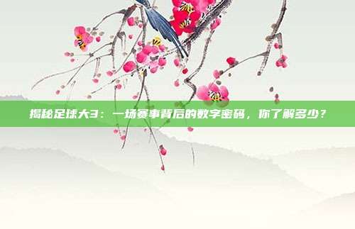 揭秘足球大3:一场赛事背后的数字密码,你了解多少?