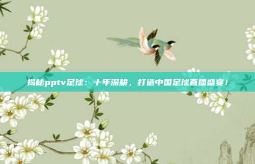 揭秘pptv足球：十年深耕，打造中国足球直播盛宴！