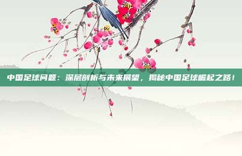 中国足球问题：深层剖析与未来展望，揭秘中国足球崛起之路！