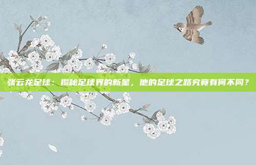张云龙足球：揭秘足球界的新星，他的足球之路究竟有何不同？