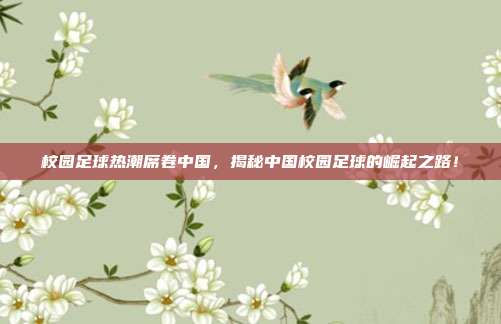校园足球热潮席卷中国,揭秘中国校园足球的崛起之路!