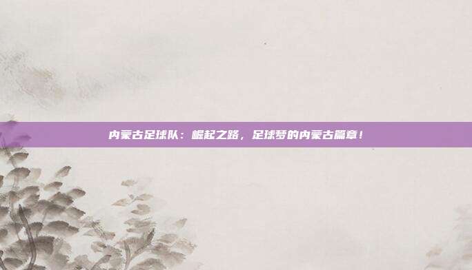 内蒙古足球队：崛起之路，足球梦的内蒙古篇章！