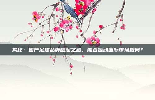 揭秘:国产足球品牌崛起之路,能否撼动国际市场格局?