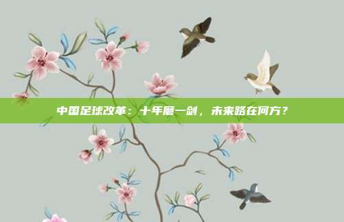 中国足球改革：十年磨一剑，未来路在何方？
