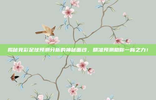 揭秘竞彩足球预测分析的神秘面纱，精准预测助你一臂之力！