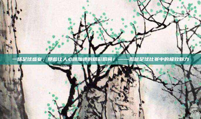 一场足球盛宴，那些让人心跳加速的精彩瞬间！——揭秘足球比赛中的极致魅力