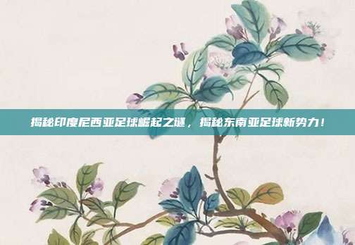 揭秘印度尼西亚足球崛起之谜，揭秘东南亚足球新势力！