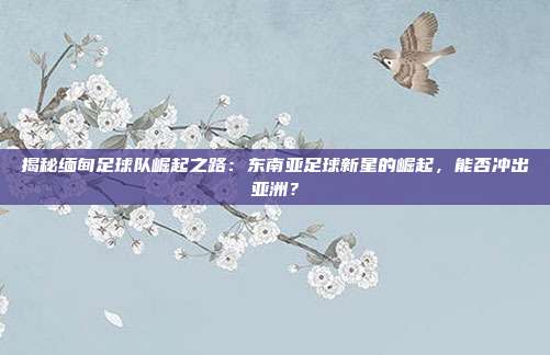 揭秘缅甸足球队崛起之路：东南亚足球新星的崛起，能否冲出亚洲？