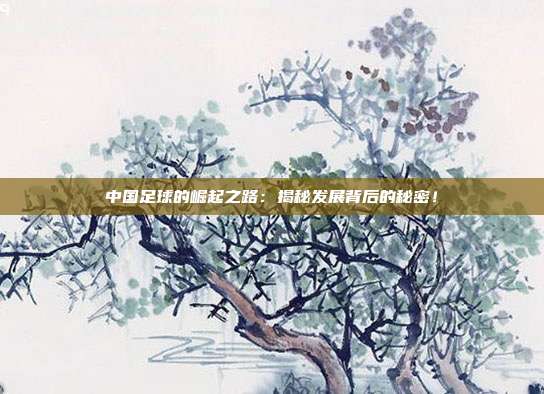 中国足球的崛起之路：揭秘发展背后的秘密！