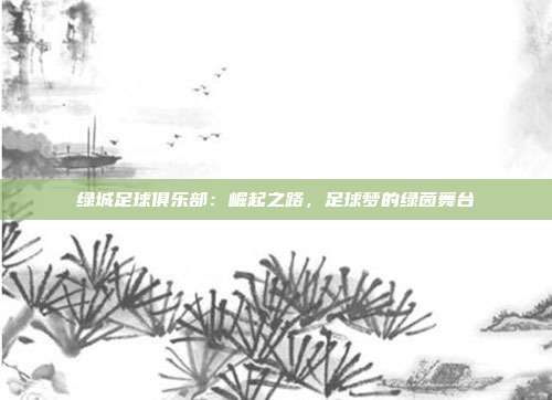 绿城足球俱乐部：崛起之路，足球梦的绿茵舞台