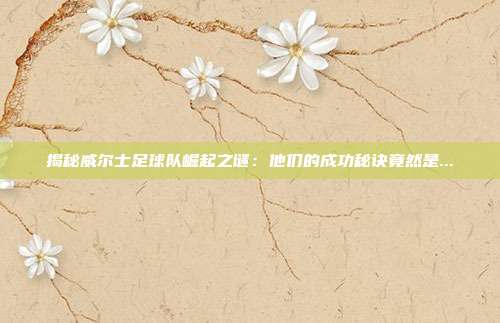 揭秘威尔士足球队崛起之谜：他们的成功秘诀竟然是...