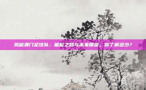 揭秘澳门足球队：崛起之路与未来展望，你了解多少？