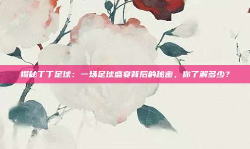 揭秘丁丁足球:一场足球盛宴背后的秘密,你了解多少?