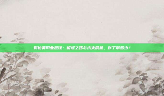 揭秘美职业足球:崛起之路与未来展望,你了解多少?