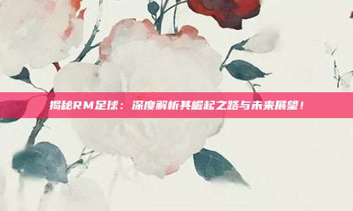 揭秘RM足球：深度解析其崛起之路与未来展望！