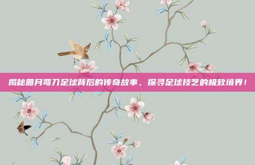 揭秘圆月弯刀足球背后的传奇故事，探寻足球技艺的极致境界！